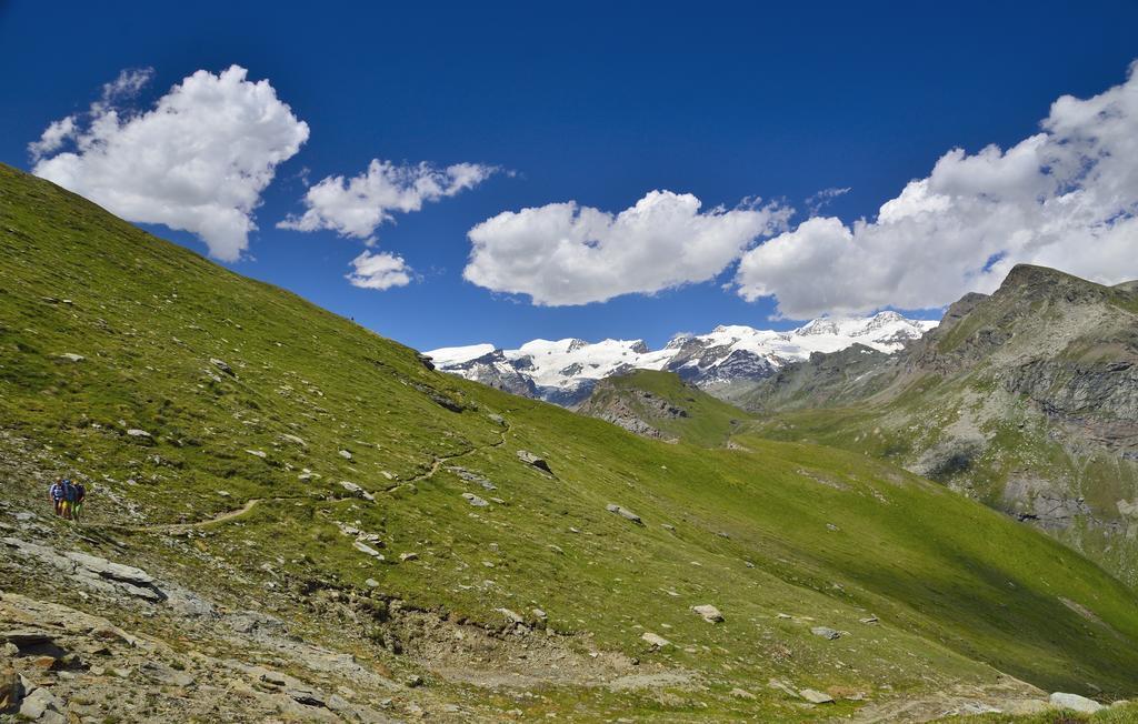 Le Coin Des Melezes - Nature & Trek - Camere In Baita Di Montagna Brusson Exterior foto