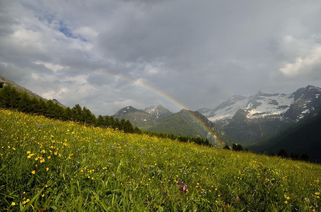 Le Coin Des Melezes - Nature & Trek - Camere In Baita Di Montagna Brusson Exterior foto