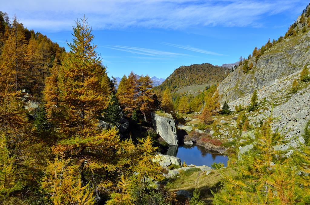 Le Coin Des Melezes - Nature & Trek - Camere In Baita Di Montagna Brusson Exterior foto