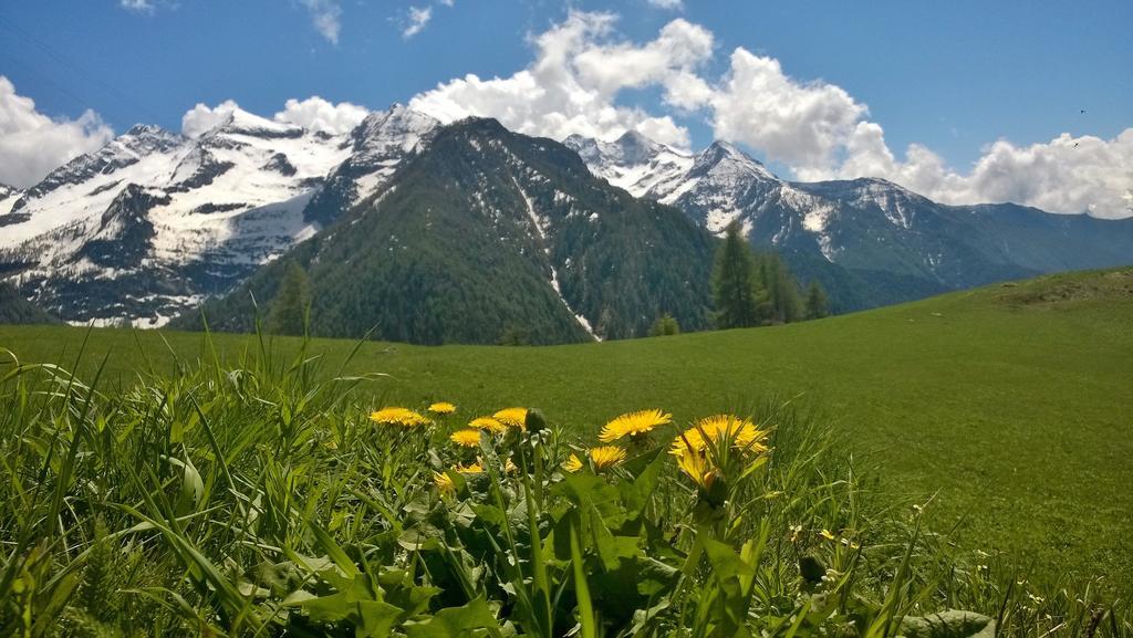 Le Coin Des Melezes - Nature & Trek - Camere In Baita Di Montagna Brusson Exterior foto